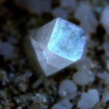 Fluorapophyllita-(K) (apofilita)
8 mm.
(Autor: José Luis Zamora)