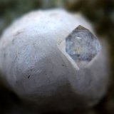 Fluorapophyllita-(K) (apofilita)
8 mm
(Autor: José Luis Zamora)