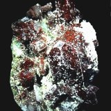 Fluorapofilita-(K) [Fluorapophyllite-(K)]
90x65 mm.
(Autor: Jesus Franquesa Baucells)