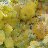 Wulfenita y Mimetita
Campo de visión de 5 mm.
(Autor: Antonio Carmona)