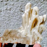 Aragonito (variedad tarnowitzita), Smithsonita
8,0 x 6,5 x 2,8 cm
(Autor: carles)