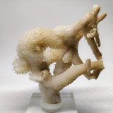 Aragonito
7,5cmx7,5cm
(Autor: Adri Rodríguez)