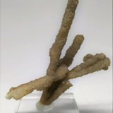 Aragonito
7cmx6,5cm
(Autor: Adri Rodríguez)