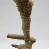 Aragonito
10cmx3,5cm
(Autor: Adri Rodríguez)