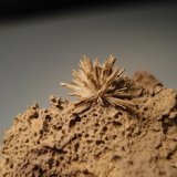 Aragonito
3x3cm
(Autor: Edonis)