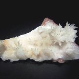 Aragonito.
120x60 mm.
(Autor: Jesus Franquesa Baucells)