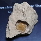 Aragonito
60x45 mm
(Autor: Ignacio)