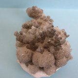 Aragonito
12 x 7,5 cm
(Autor: Pedro Conesa)