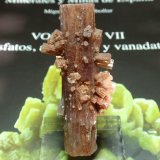 Aragonito
20x65 mm
(Autor: Ignacio)