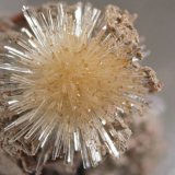 Aragonito
1 cm
(Autor: Cesar M. Salvan)