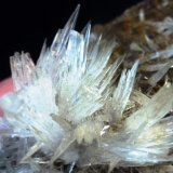 Calcita, Fluorita
8 x 5 cm.
(Autor: javier ruiz martin)