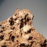 Aragonito
4x2.5cm
(Autor: Edonis)