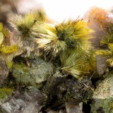 Pumpellyita, Clinozoisita, Magnetita y Oligoclasa
Campo de visión de 12 mm
(Autor: Antonio Carmona)