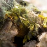 Pumpellyita, Clinozoisita, Magnetita y Oligoclasa
Campo de visión de 12 mm.
(Autor: Antonio Carmona)