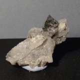 Arsenopirita sobre cuarzo
3 x 2 cm.
(Autor: Echevarria)