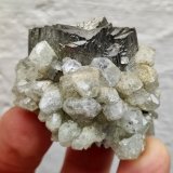 Arsenopirita, Topacio
4,4 x 3,5 x 3,0 cm
(Autor: carles)