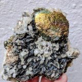 Arsenopirita, Pirita, Moscovita, Cuarzo
9,8 x 8,0 x 6,3 cm
(Autor: carles)