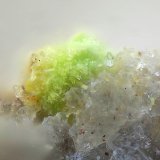 Arthurita
Campo de visión de 0,7 mm
(Autor: Antonio Carmona)