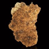 Astrofilita
23 x 18 x 10 cm / Cristal principal: 2.5 cm.
(Autor: Museo MIM)