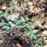 Atacamita pseudo Sanidina
xx < 1 mm
(Autor: José Luis Zamora)