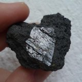 Augita en basalto
Cristal de 1,4x2 cm
(Autor: María Jesús M.)