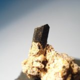 Augita
0,8x0.4cm
(Autor: Edonis)
