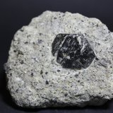 Augita
60 x 60 mm
(Autor: Joaquin Blanco Cortina)