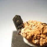 Augita
0,9x0,4cm
(Autor: Edonis)