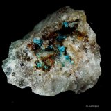 Auricalcita y Cerusita.
30x20 mm.
(Autor: Jesus Franquesa Baucells)