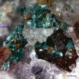 Aurichalcita.
0´939 x 0´682 mm.
(Autor: Jesus Franquesa Baucells)