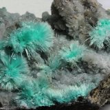 Auricalcita
5x9cm
(Autor: Ramon A  Lopez Garcia)