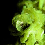 Autunita
Encuadre de 1 cm
(Autor: Cesar M. Salvan)