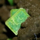 Autunita
Cristal 0.3 cm.
(Autor: Cesar M. Salvan)