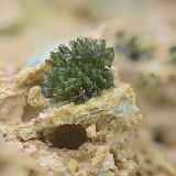 Olivenita.
Campo de visión 4 mm.
(Autor: Antonio Carmona)
