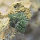 Olivenita.
Campo de visión de 4 mm
(Autor: Antonio Carmona)