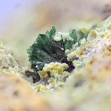 Olivenita
Campo de visión de 4 mm
(Autor: Antonio Carmona)