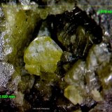 Azufre.
2´835 x 2´020 mm.
(Autor: Jesus Franquesa Baucells)