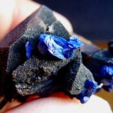 Cuarzo (variedad cristal de roca), Azurita
4 x 3 cm.
(Autor: javier ruiz martin)