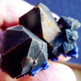 Cuarzo (variedad cristal de roca), Azurita
4 x 3 cm.
(Autor: javier ruiz martin)