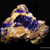 Azurita.
35x30 mm.
(Autor: Jesus Franquesa Baucells)