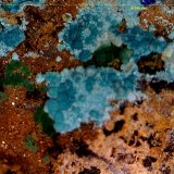 Azurita, Claraita, Adamita.
6´545 x 4´832 mm.
(Autor: Jesus Franquesa Baucells)