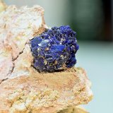 Azurita.
Grupo de cristales de 15 x 15 mm
(Autor: Antonio Carmona)