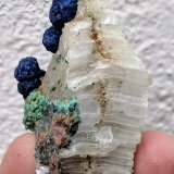 Azurita, Malaquita, Yeso
5,0 x 3,2 x 2,0 cm
(Autor: carles)