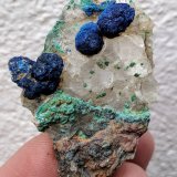 Azurita, Malaquita, Yeso
5,0 x 3,2 x 2,0 cm
(Autor: carles)