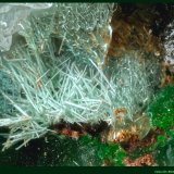 Mixita
Mina Hilarion, Zona Hilarion, Minas Kamariza, Agios Konstantinos, Distrito minero Lavrion, Prefectura Attikí (Attica), Grecia
FoV: 4 x 3 mm
(Autor: Jose Angel Carrero)