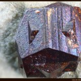 Pirita
Cantera Maibolte, Dörentrup, Lemgo, Ostwestfalen-Lippe, Renania del Norte-Westfalia/Nordrhein-Westfalen, Alemania
FoV: 4 x 3 mm
(Autor: Jose Angel Carrero)