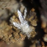 Montgomeryita
CV 4x3 mm
(Autor: Joan Niella)