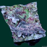 Eritrina, Conicalcita
Concesión La Cena del Depósito, Huércal-Overa, Comarca Levante Almeriense, Almería, Andalucía, España
4 x 3,5 x 2,5 cm
(Autor: Jose Angel Carrero)