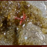 Perroudita
Mina Cap Garonne, Le Pradet, Toulon, Var, Provence-Alpes-Côte d'Azur, Francia
FoV: 1 x 0,7 mm
(Autor: Jose Angel Carrero)