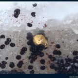Oro
Filón 340, Rodalquilar, Níjar, Comarca Metropolitana de Almería, Almería, Andalucía, España
FoV: 1,2 x 0,8 mm
(Autor: Jose Angel Carrero)